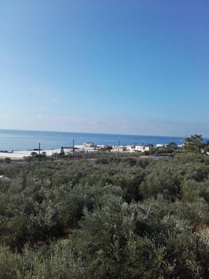 Pericles Traditional Cretan Home Stavrokhorion Buitenkant foto